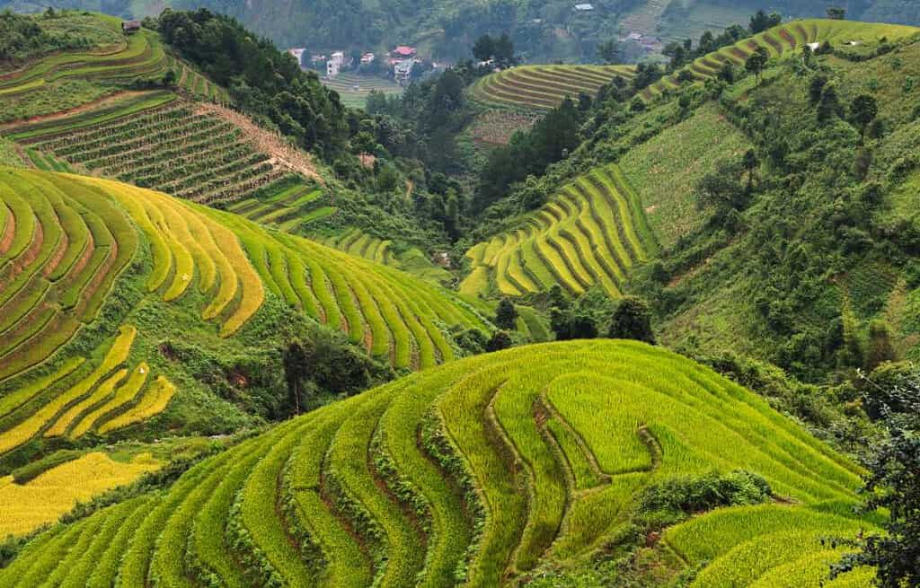 Sapa Countryside Vietnam Sapa-Countryside-Vietnam