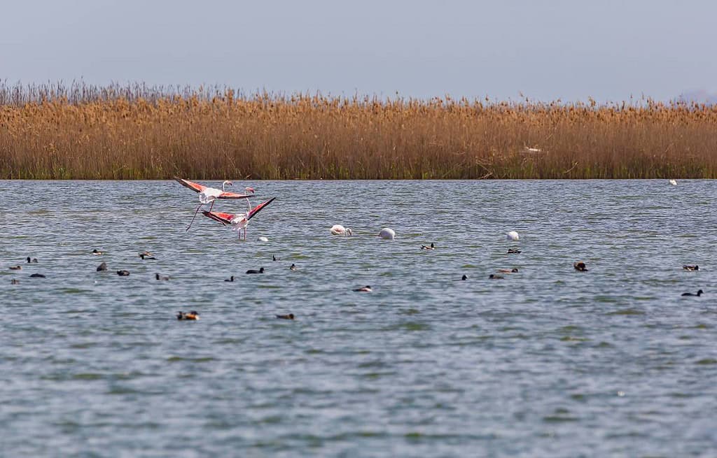 Shirvan National Park Azerbaijan