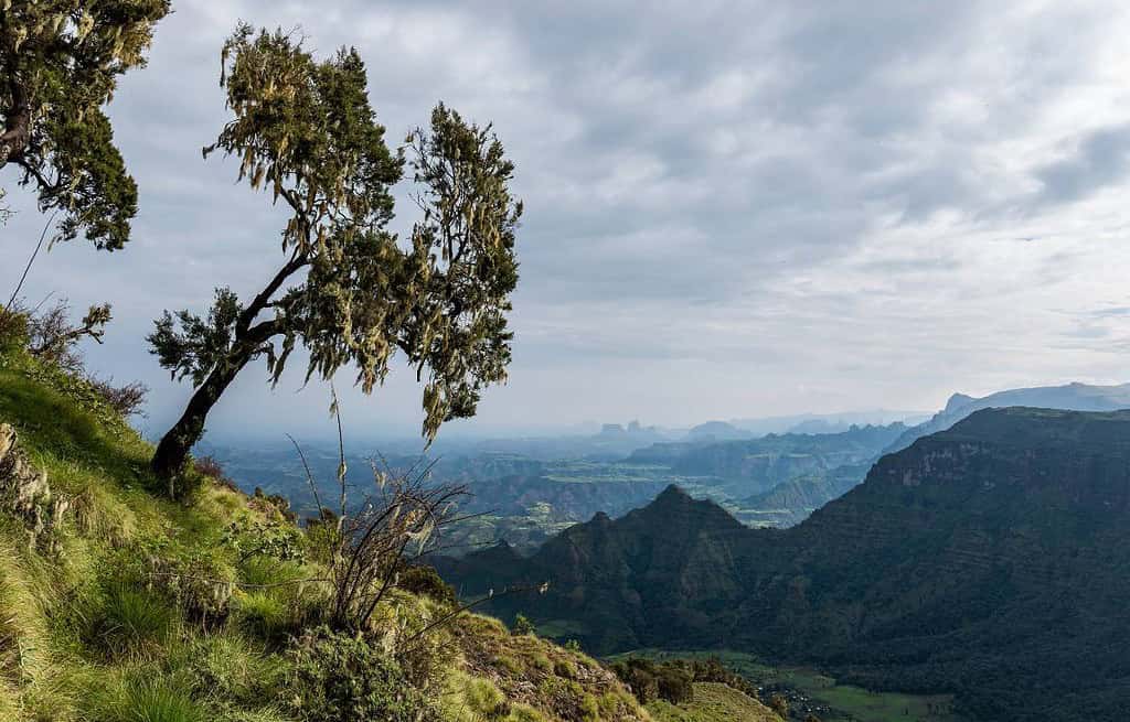 Simien Mountains Ethiopia Simien Mountains Ethiopia