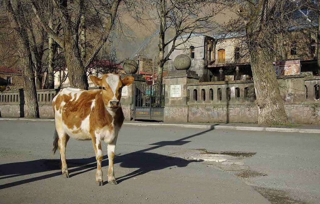 Stepantsminda Georgia Travel Destinations, Featured, South Europe Caucasus East Europe Stepantsminda Georgia