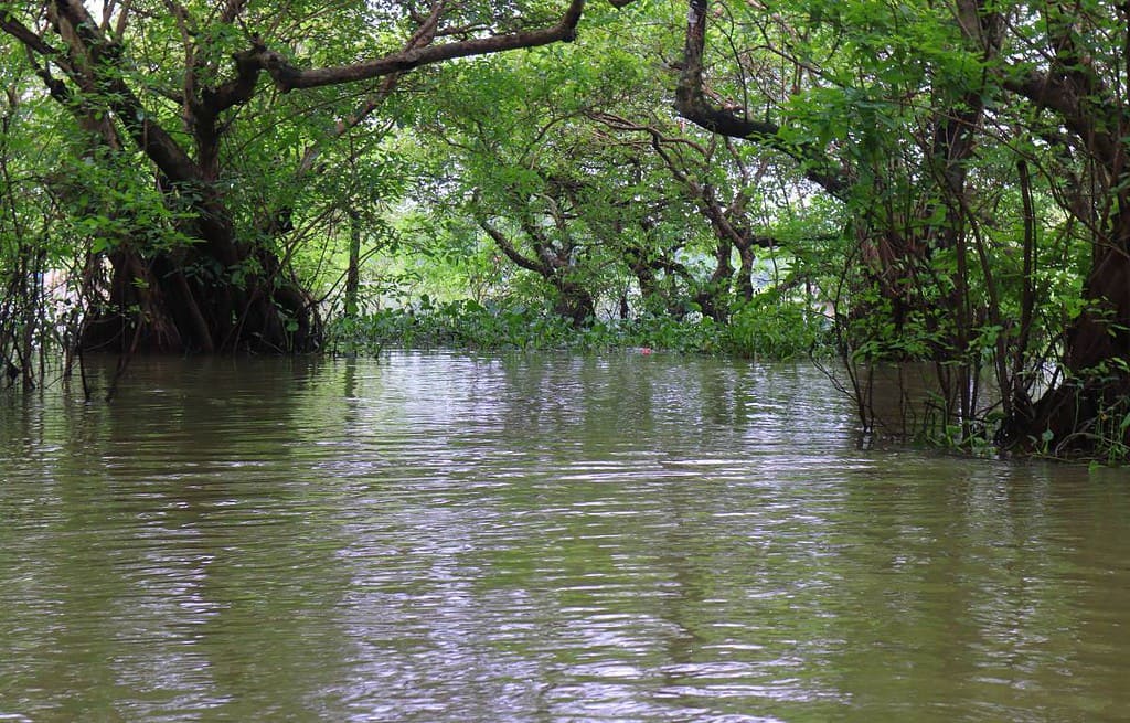 Sylhet Bangladesh Travel Destinations, Asia Sylhet Bangladesh