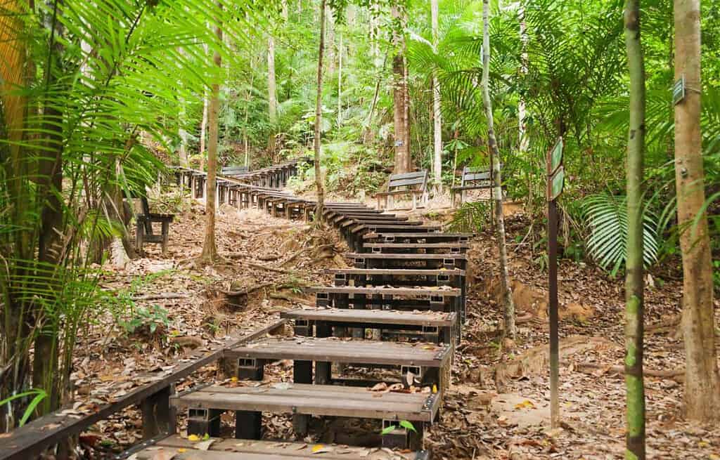 Taman Negara National Park Malaysia Travel Destinations, Asia Taman Negara National Park Malaysia