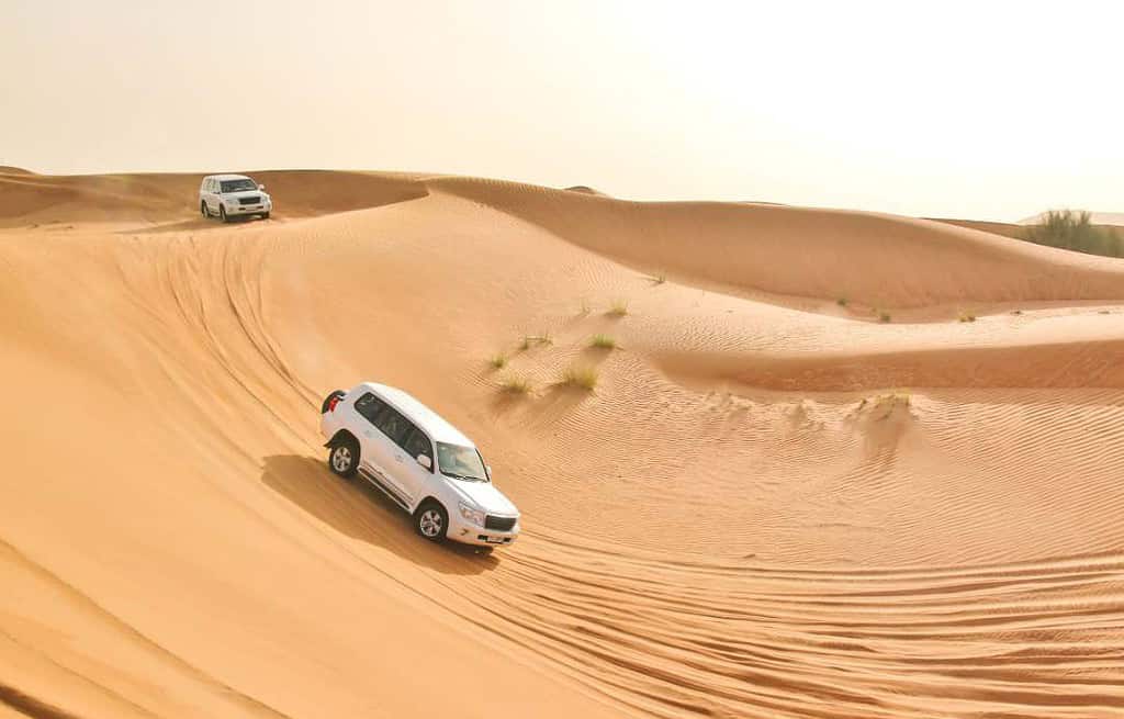 The Desert United Arab Emirates Travel Destinations The Desert United Arab Emirates