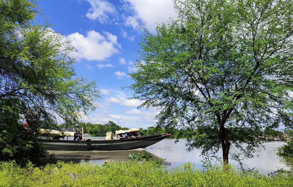 The Sundarbans Bangladesh