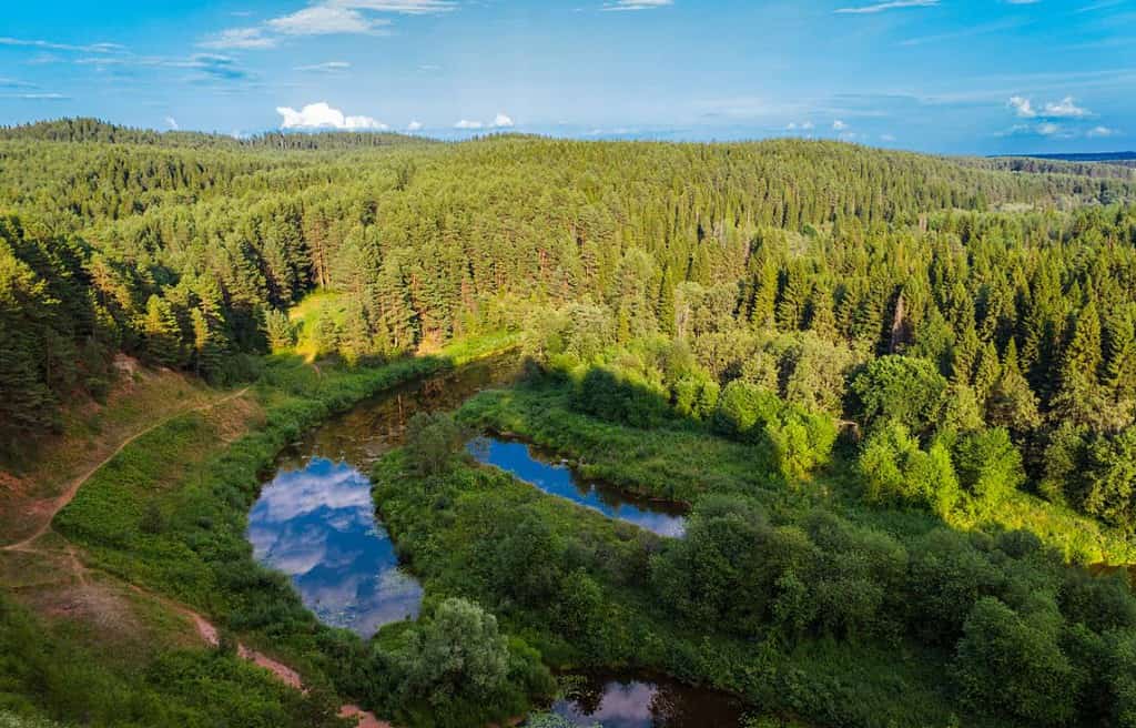 The Taiga Forest Russia Travel Destinations, South Europe Caucasus East Europe The Taiga Forest Russia