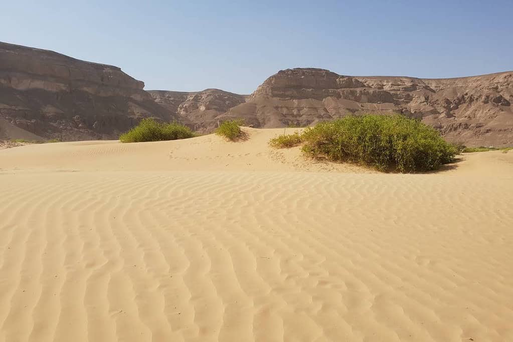 Travel in Yemen