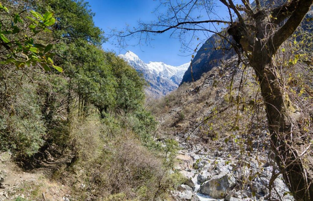Trekking in the Langtang Region Nepal