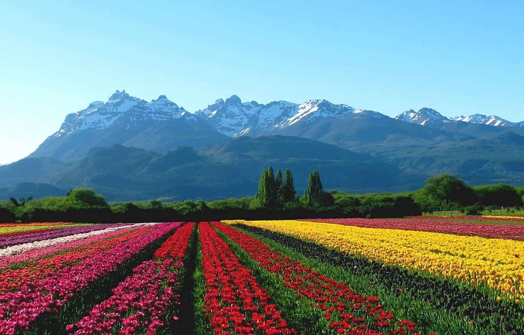 Trevelin Argentina Travel Destinations, Americas Trevelin Argentina
