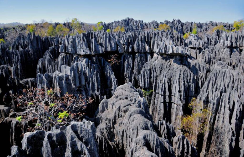 Tsingy de Bemaraha Madagascar