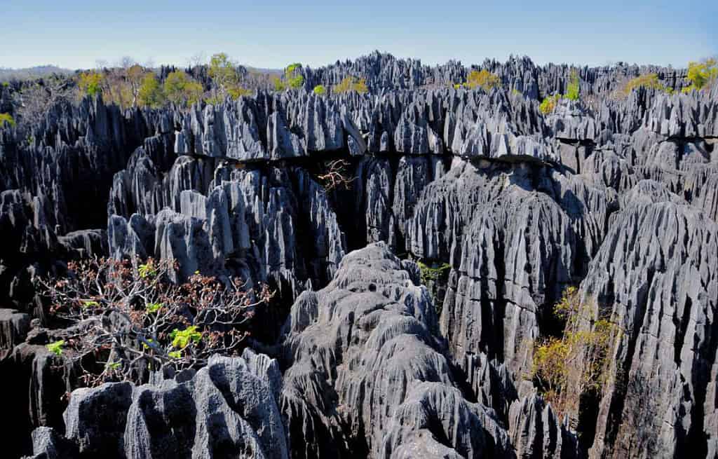 Tsingy de Bemaraha Madagascar Tsingy de Bemaraha Madagascar