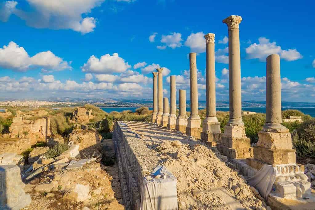 Tyre Lebanon 1 Tyre Lebanon