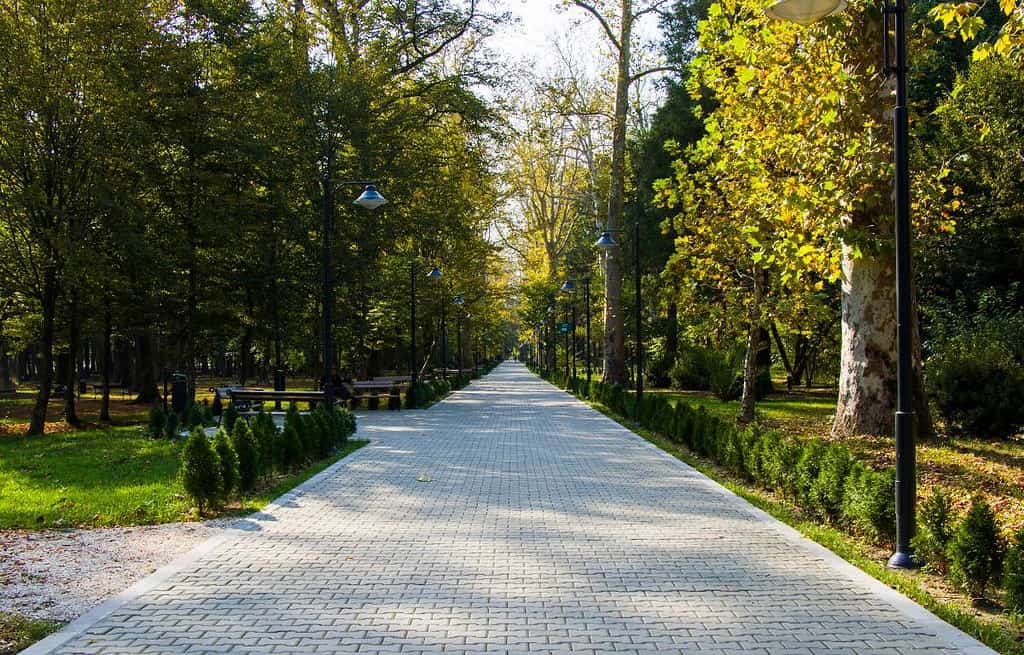 Zugdidi Georgia Travel Destinations, Featured, South Europe Caucasus East Europe Zugdidi Georgia
