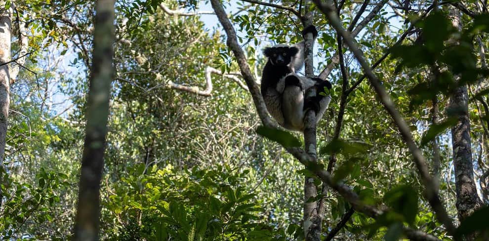 Andasibe Madagascar