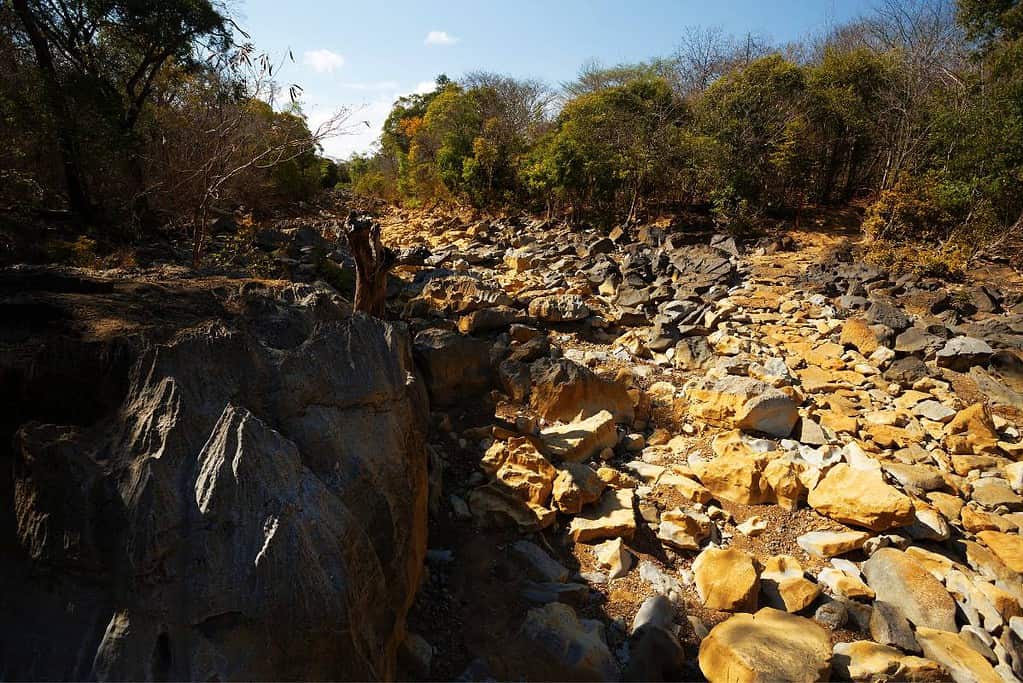 Ankarana Madagascar