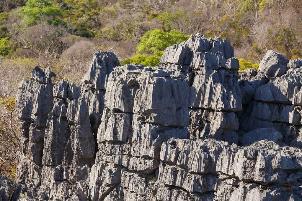 Ankarana Madagascar