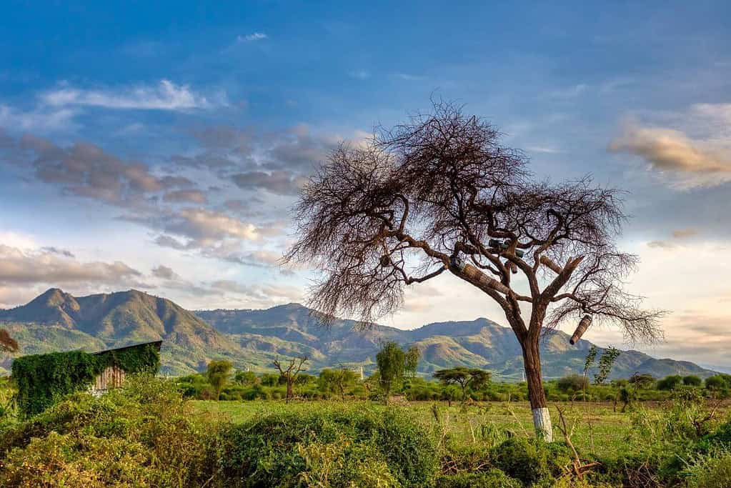 Arba Minch Ethiopia