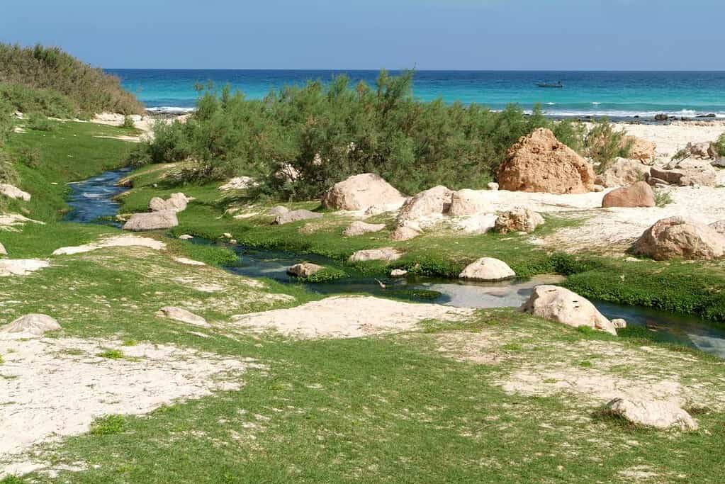 Arher Beach Yemen