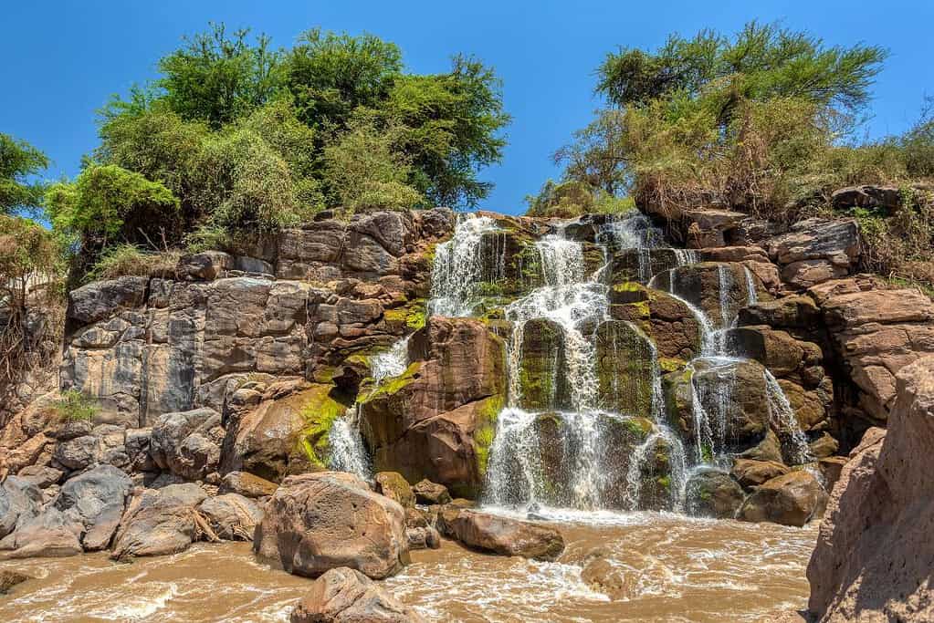 Awash National park Ethiopia