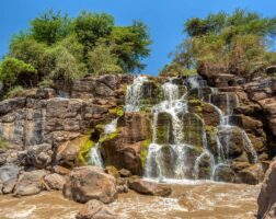 Awash National park Ethiopia
