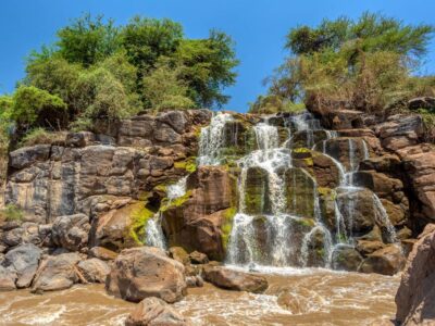 Awash National park Ethiopia