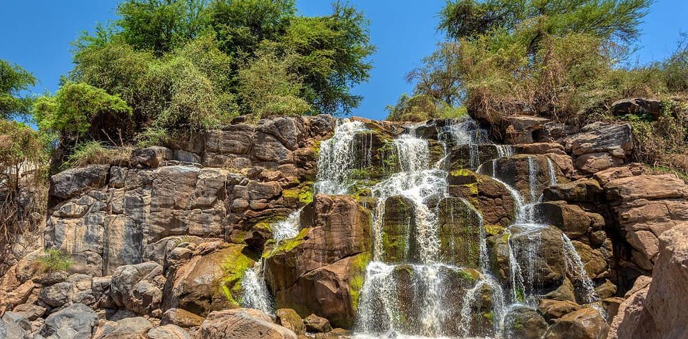Awash National park Ethiopia