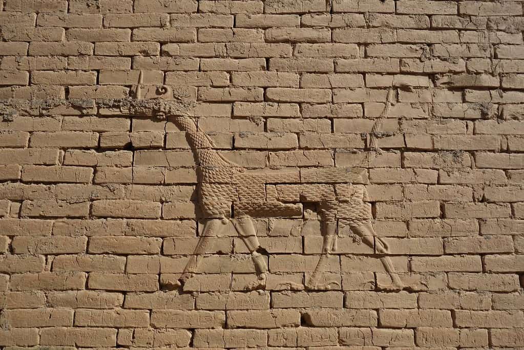 Babylon ancient city 17 Babylon ancient city