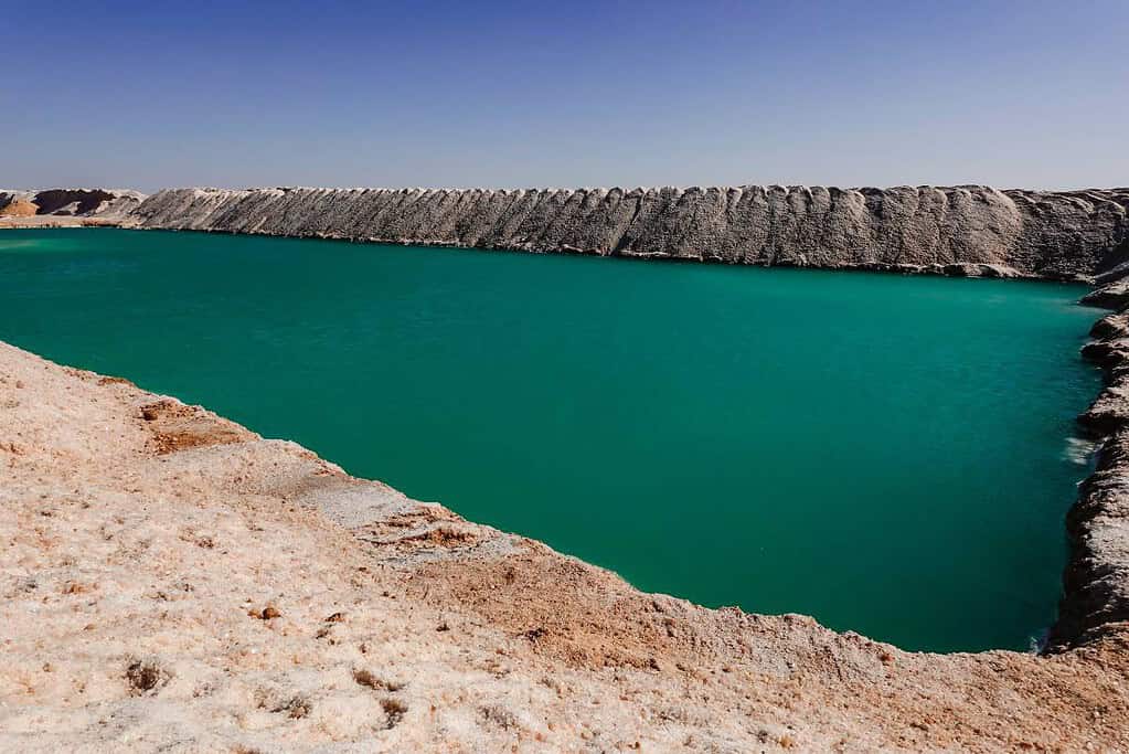 Bahariya Oasis Egypt