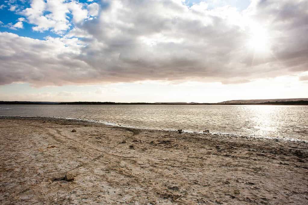 Bahariya Oasis Egypt