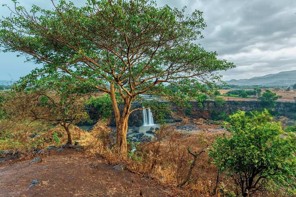 Bahir Dar Ethiopia