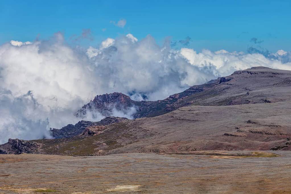 Bale Mountains