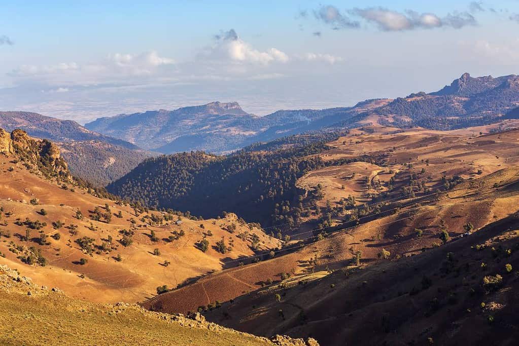 Bale Mountains