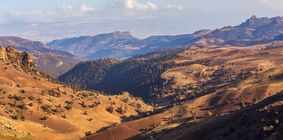 Bale Mountains