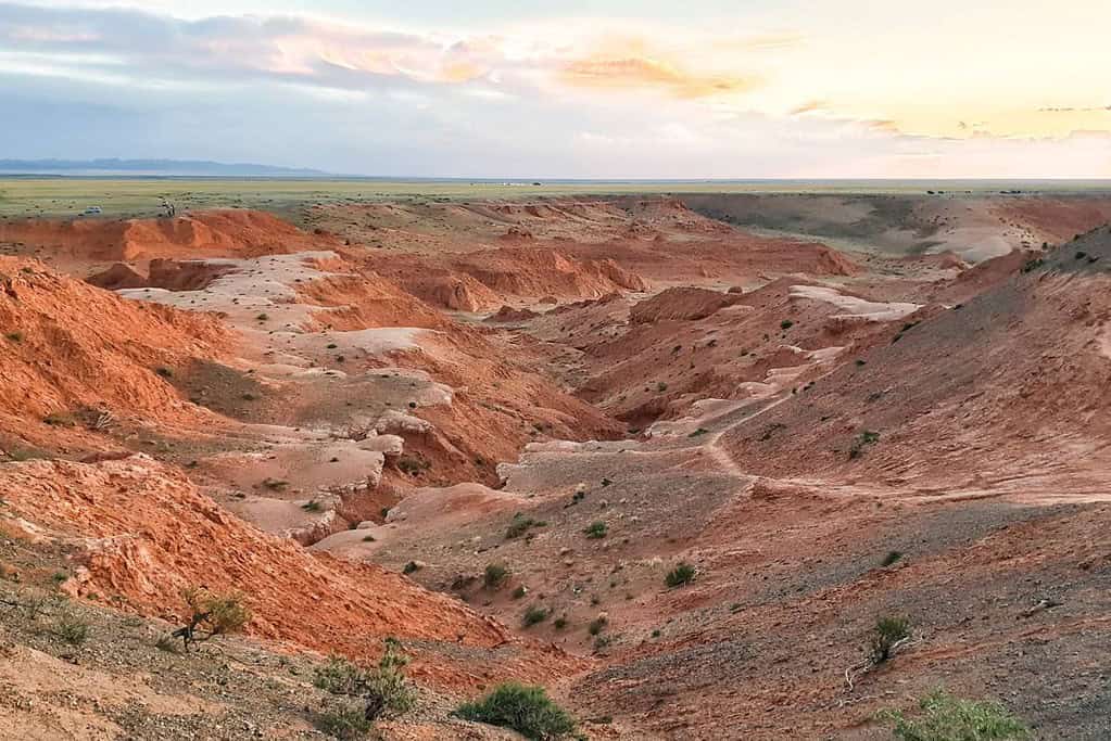 Bayanzag Mongolia