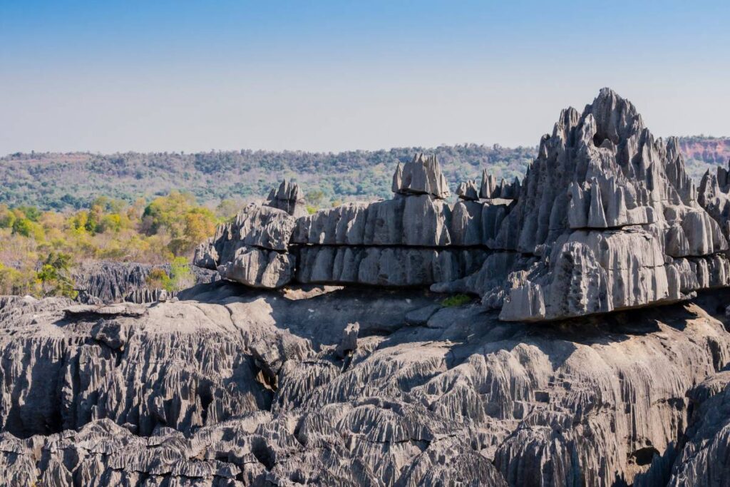 Bemaraha national park Madagascar