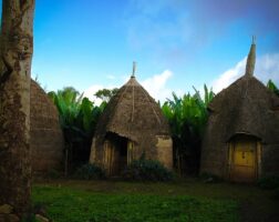 Chencha Dorze Villages Ethiopia