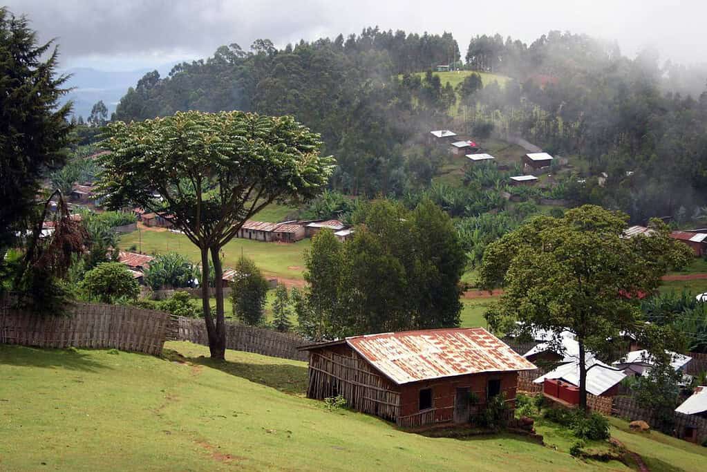 Chencha Dorze Villages Ethiopia