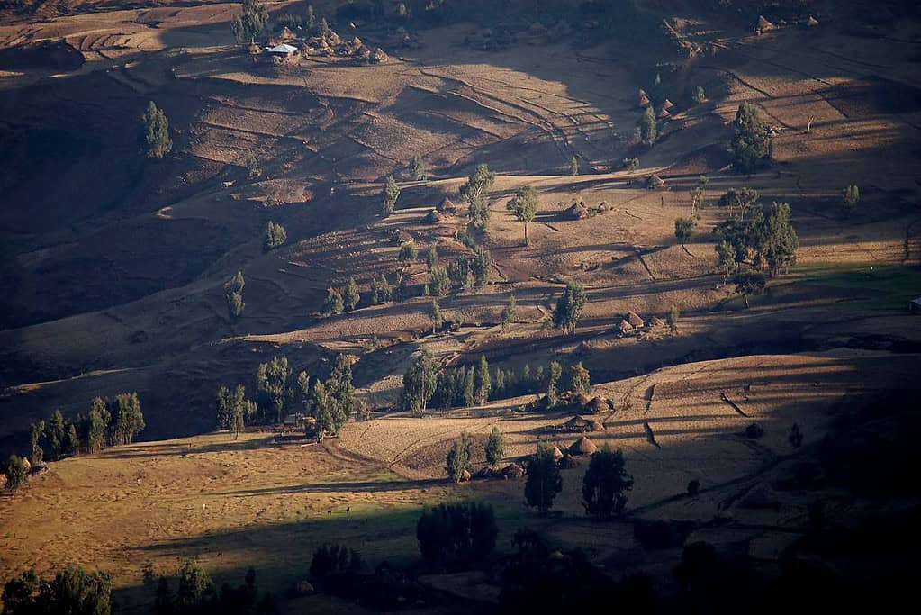 Chenek Ethiopia