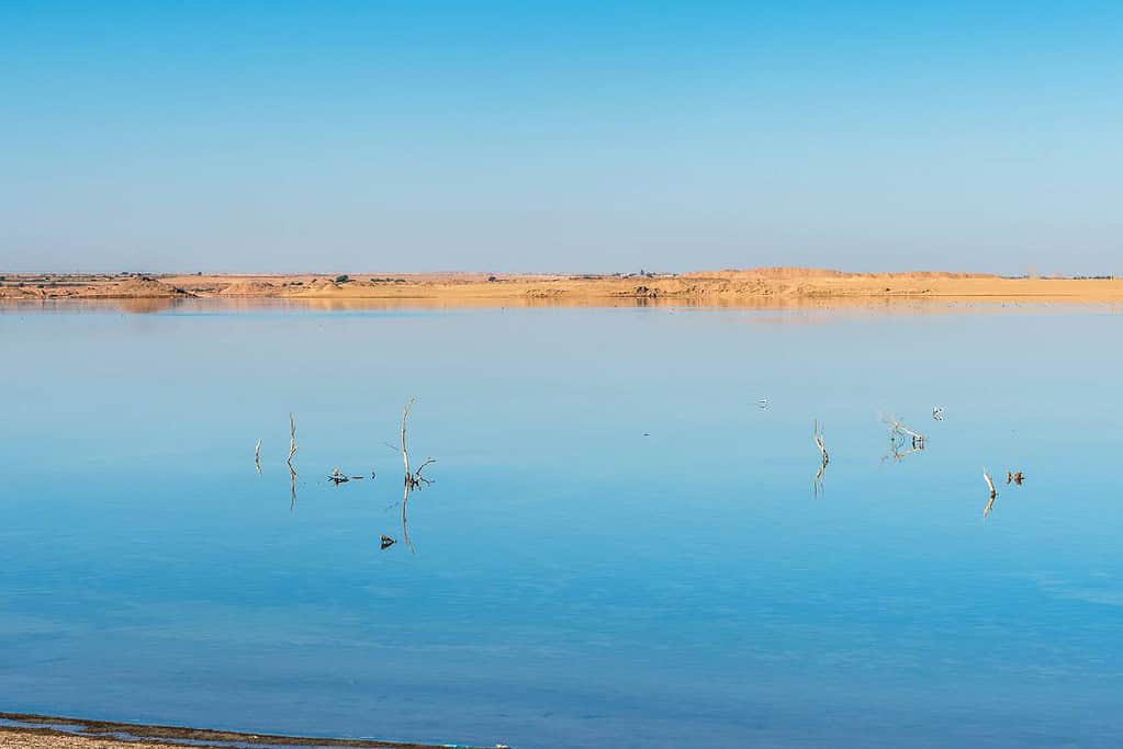 Dakhla Oasis Egypt