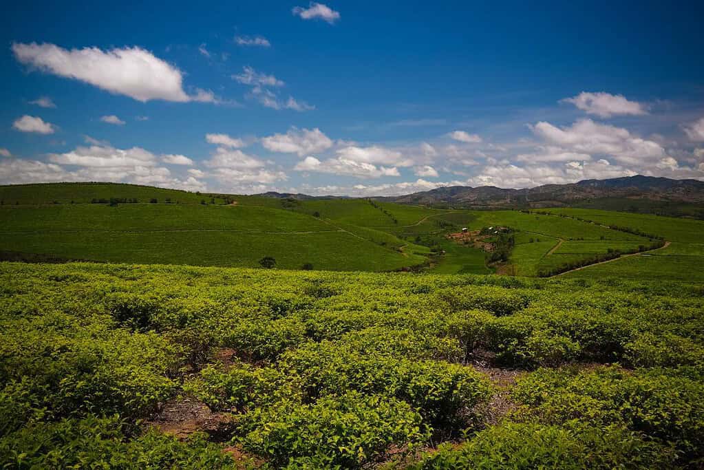 Fianarantsoa Madagascar