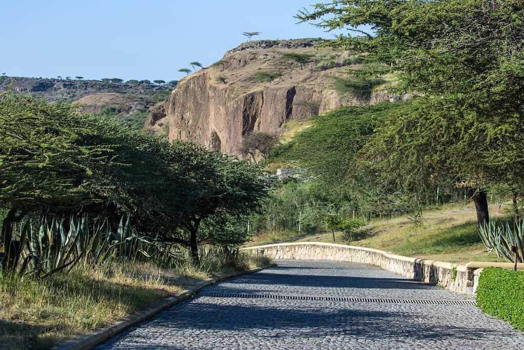 Lake of Langano Ethiopia