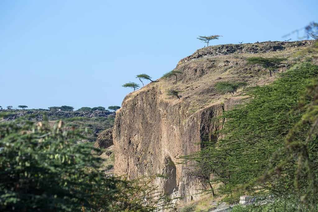 Lake of Langano Ethiopia tour