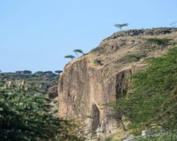 Lake of Langano Ethiopia tour