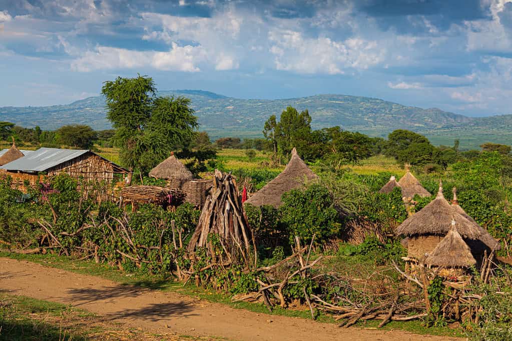 Lower Valley of the Omo Lower Valley of the Omo