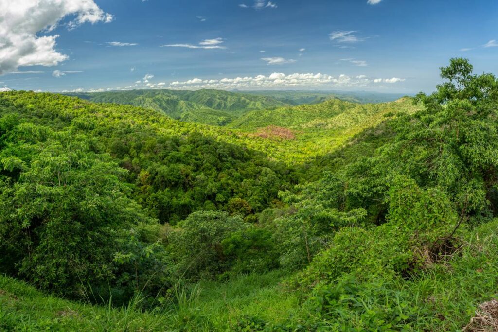 Mago national park Ethiopia