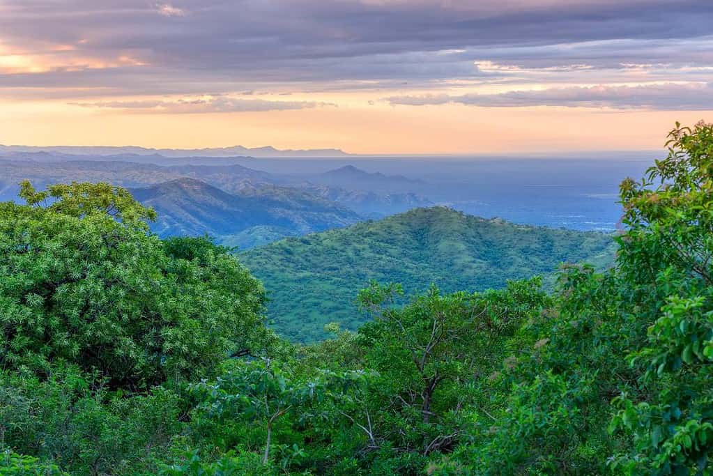 Mago national park Ethiopia