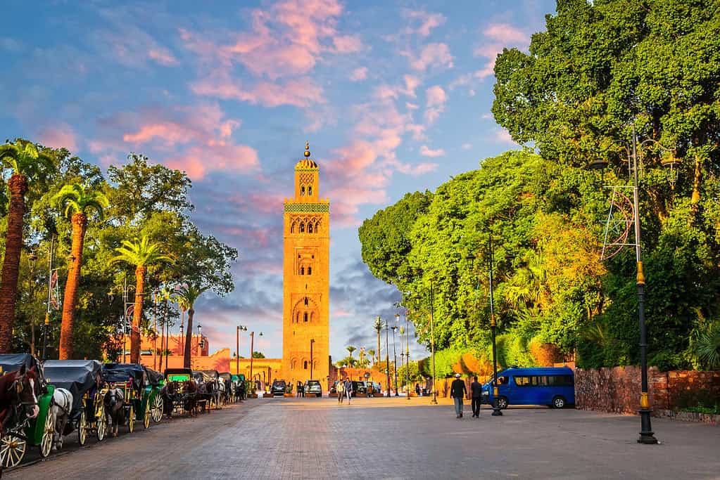 Medina of Marrakesh Medina of Marrakesh