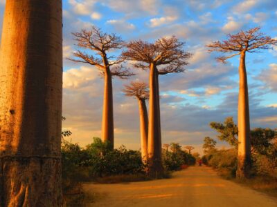 Morondava Madagascar