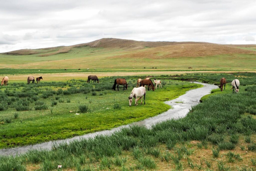 Orkhon valley Mongolia
