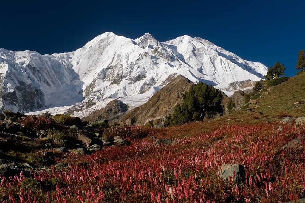 Rakaposhi Pakistan