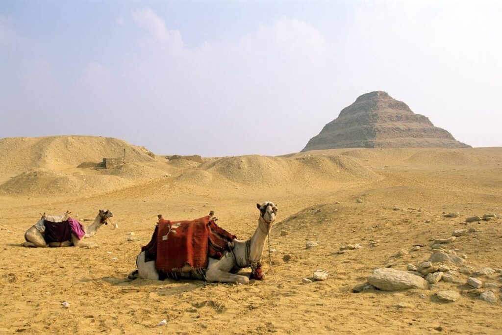 Saqqara Step Pyramids Egypt